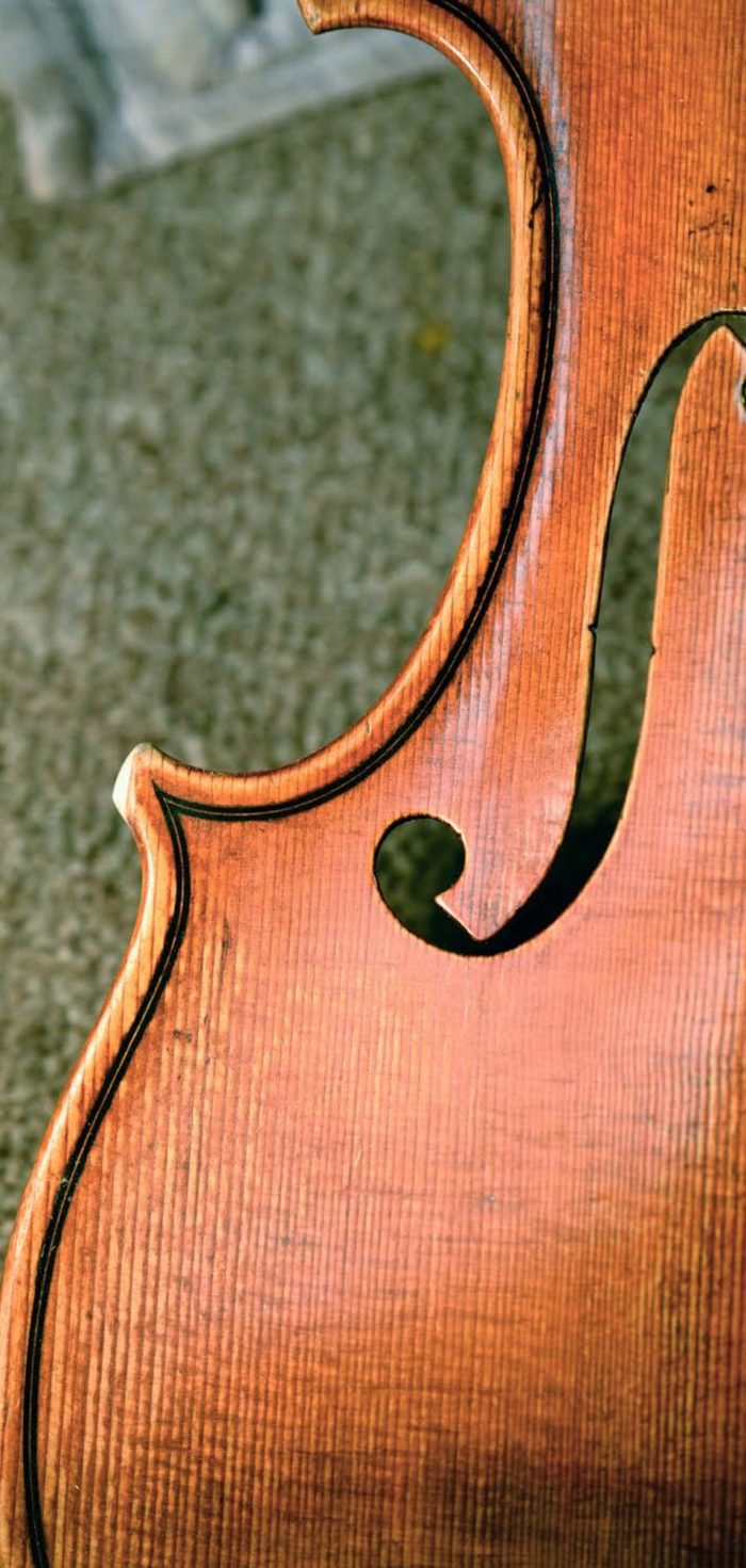 Professional String Instrument Repair & Restoration Solo Classic